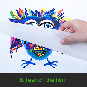 1kg DTF転送粉末 白色熱溶性接着粉末とDTF転送フィルム 6