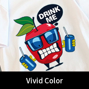 A4 / A3 DTF プリンターフィルム 冷皮 75U 厚さ PET 離線フィルム 粘着性のない 2