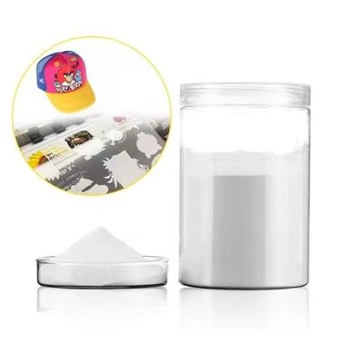 1kg アレシブ DTF 溶融粉末 TPU 熱溶性粉末 DTF プリンター印刷用